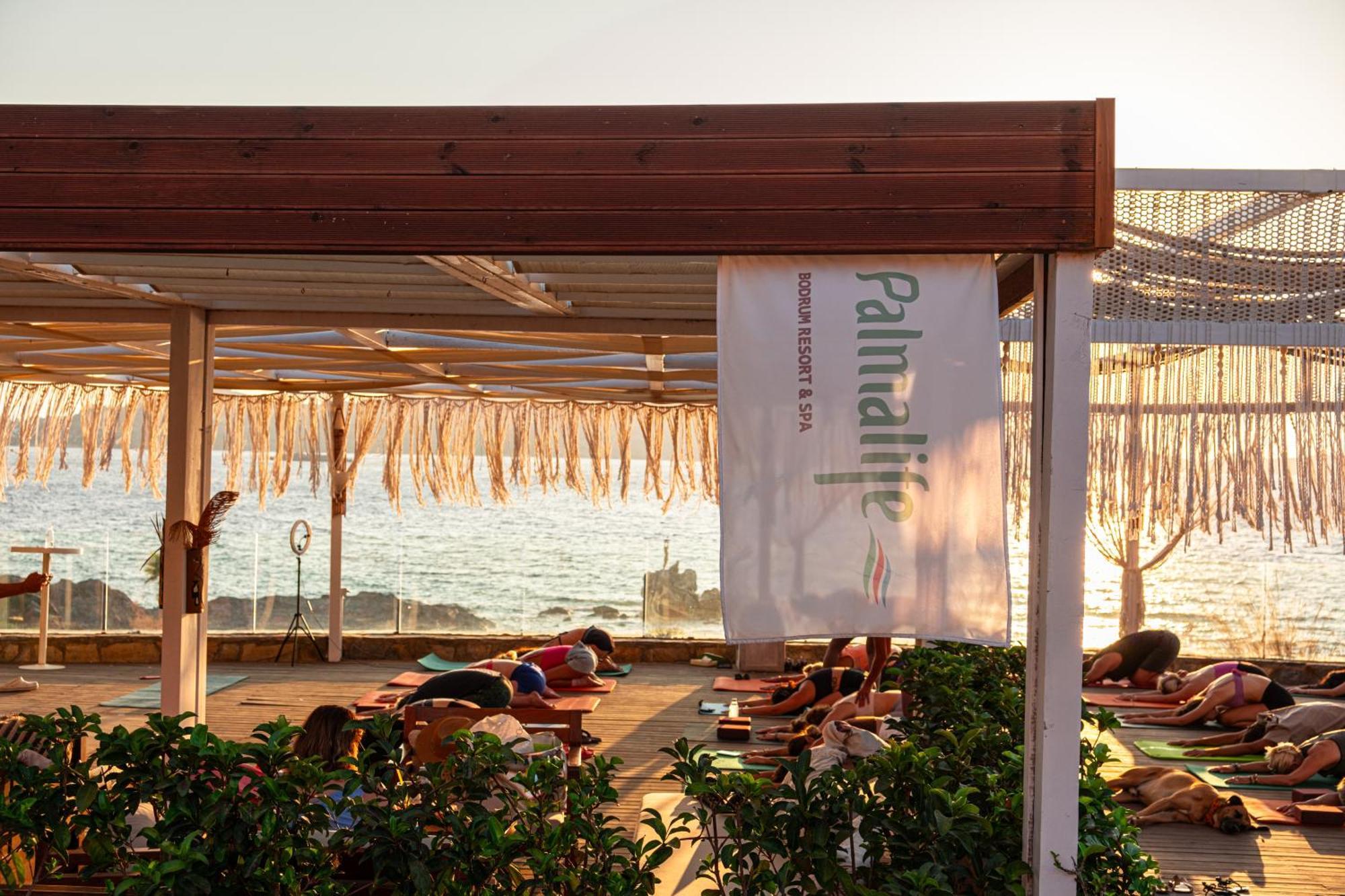 Palmalife Bodrum Resort & Spa Yalıkavak Zewnętrze zdjęcie